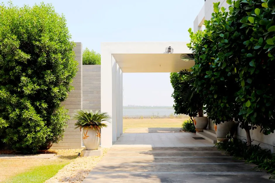 Allee de jardin et amenagement paysager