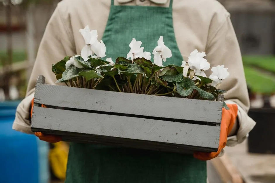 Jardin contemporain amenage avec terrasse, allee et plantations soignees a Troyes